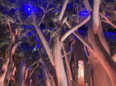 オーストラリア館