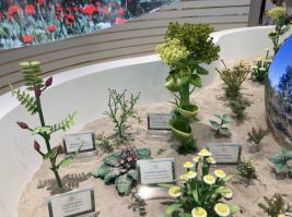 トルクメニスタン館