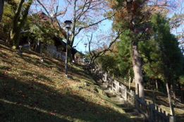 奈良ホテルの裏の坂