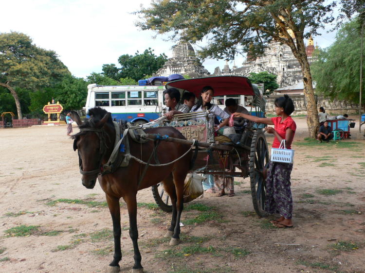 バガン仏教遺跡の馬車